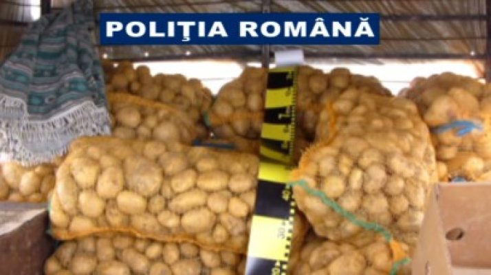 Peste 9 tone de legume, confiscate de poliţişti